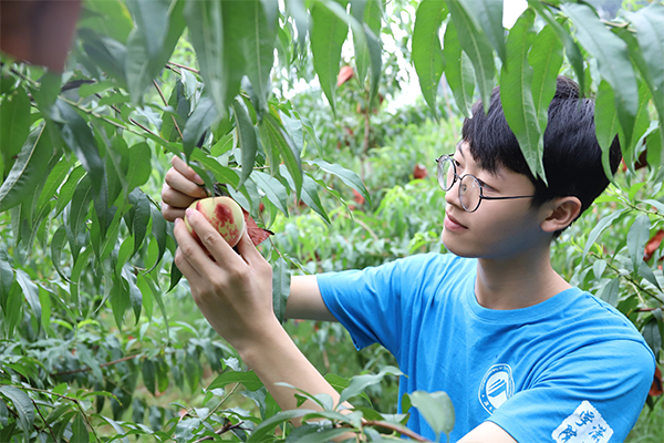 6de70e2f20f44addb8c01dc30fcccc32.png 图片4.png